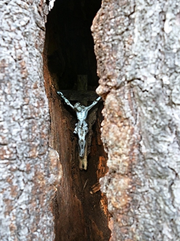 Rettung Christus zwischen zwei Felsen vor einer Spalte